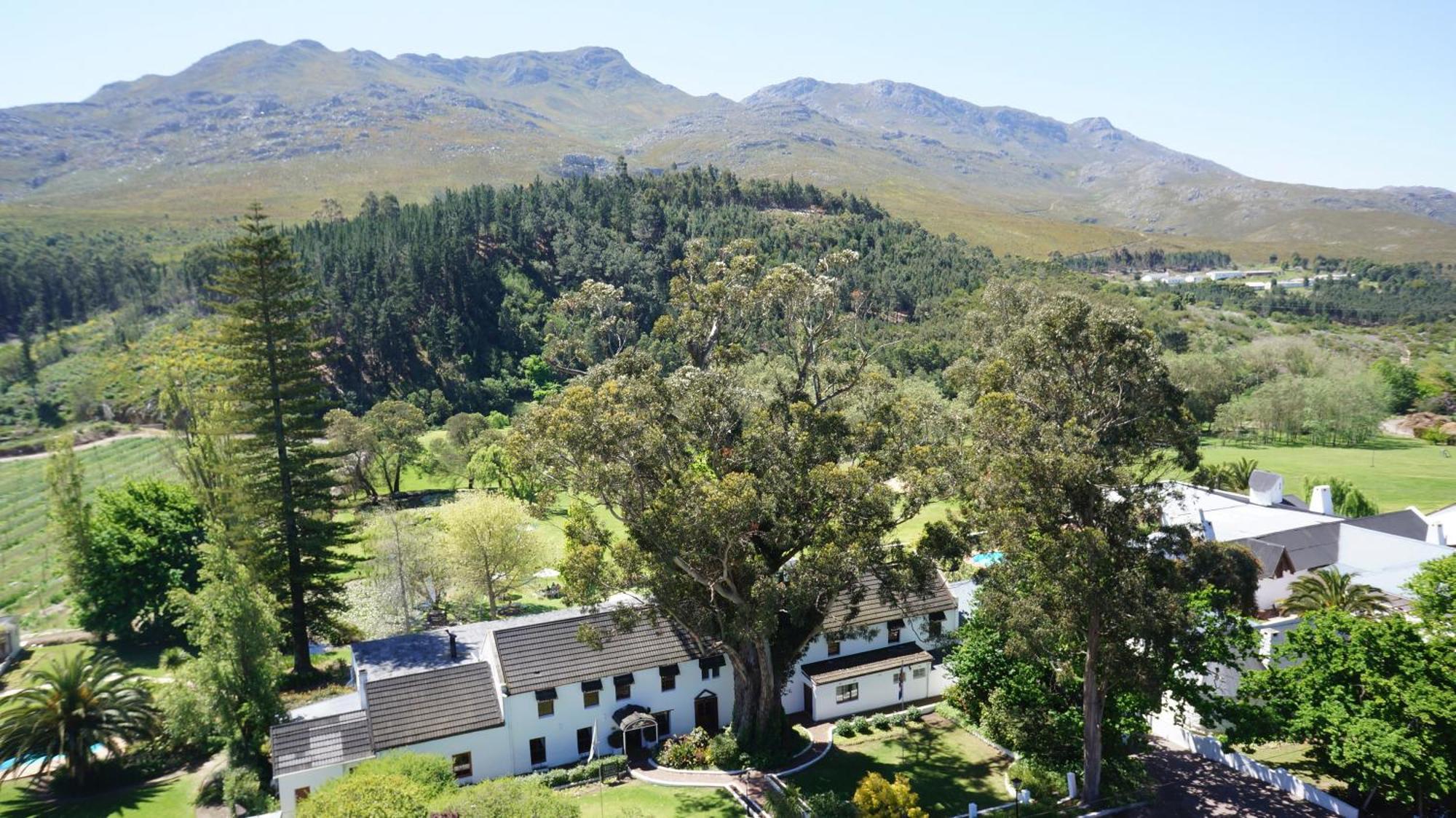Houw Hoek Hotel Botrivier Extérieur photo